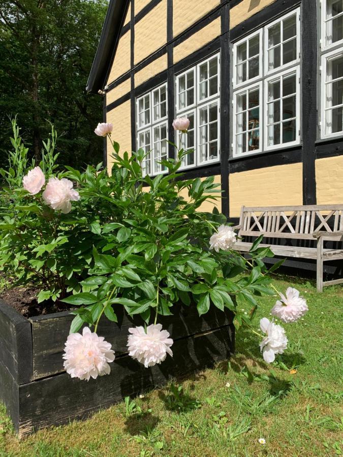 Hotel Egeskoven Viborg Exterior photo
